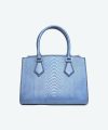Galleria Mini Tote Bag