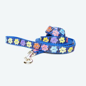 Blue Dog Leash